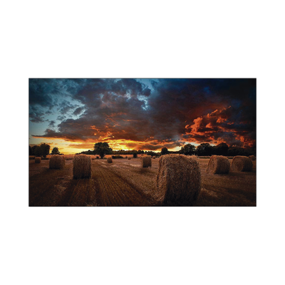 Pantalla Profesional LED de 55 para Video Wall, Full HD (1080p), HDMI/DVI-D/DP, Bisel Ultra Delgado de 2.3mm. Compatible VESA