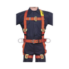 Arnés de Cuerpo Completo para Parar Caídas y Posicionamiento (Unitalla).
